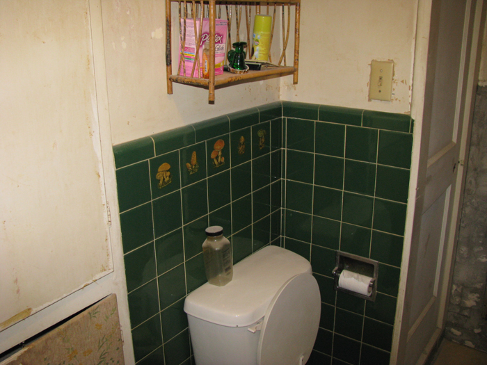 Bathroom Remodel Before (Toilet Wall)